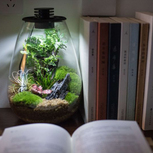 Bio Bottle SD200 BIOLOARK Terrarium | Wabi-Kusa | Mossarium +led