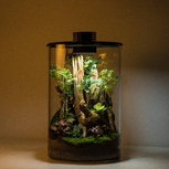 Bio Bottle ZD200 BIOLOARK Terrarium | Wabi-Kusa | Mossarium +led