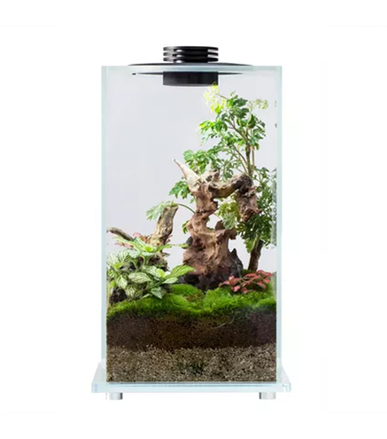 Bio Bottle FD200 BIOLOARK Terrarium | Wabi-Kusa | Mossarium +led