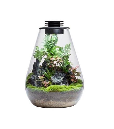 Bio Bottle SD200 BIOLOARK Terrarium | Wabi-Kusa | Mossarium +led