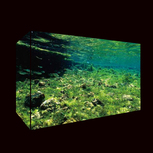 Cube Garden 150-P 150x60x60cm/15mm