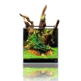 Cuve Nano Cube Ultra Clear Rimless Aquarium  30C | UNS - 26l