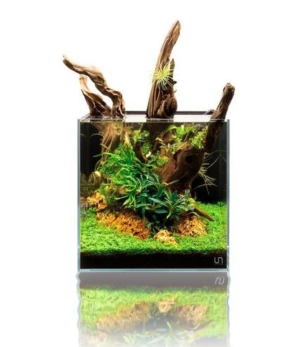 Cuve Nano Cube Ultra Clear Rimless Aquarium  30C | UNS - 26l