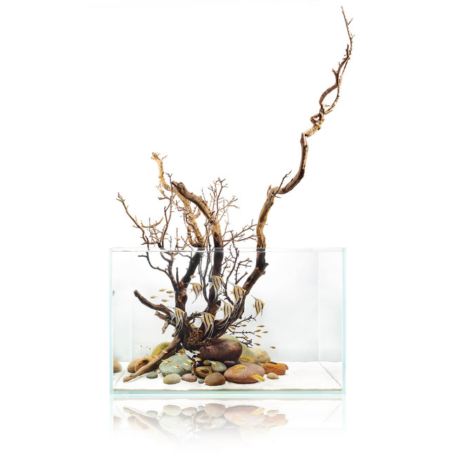 Cuve Aquarium 60U 76 litres UNS - Ultum Nature Systems 120u Glass Rimless Tank 1