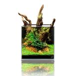 Cuve Nano Cube Ultra Clear Rimless Aquarium  25C | UNS - 15l