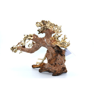 Arbre Bonsai | Taille S
