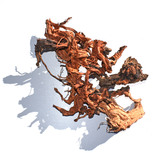 Racine de Curl wood  pièce (CW4) | Dragon root 50x29 cm