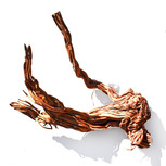 Racine de Curl wood  pièce (CW1) | Dragon root 56x40 cm