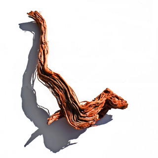 Racine de Curl wood  pièce (CW2) | Dragon root 51x32 cm