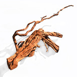 Racine de Curl wood  pièce (CW3) | Dragon root 56-74x27 cm