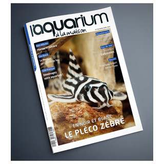 Aquarium À La Maison N° 150 - Mars / Avril 2022