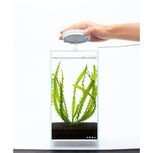 Pack Aquascaping Cuve 20C 8l + lampe et stand  | UNS + DOOA