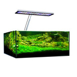 Pack Aquascaping Cuve basse 17 L + lampe Aqua CC | BLAU + MICMOL