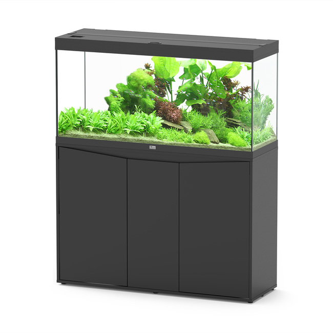 Vente de petit aquarium en ligne, aquarium de petites dimensions