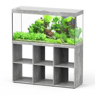 Aquarium+Stand | AQUATLANTIS-SPLENDID 120 BETON 240L