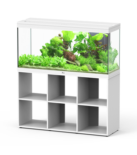 Aquarium+Stand | AQUATLANTIS-SPLENDID 120 BLANC-240L