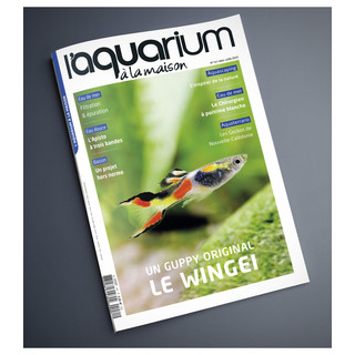 Aquarium À La Maison N° 151 - Mai/ Juin 2022