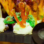 AQUA MEDIC | Coral pins X10 pierres à bouture-support pour coraux
