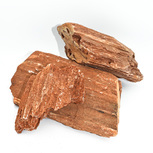 Stonewood redbrown - Indian petrified wood Taille XL | 20 - 25 cm