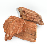 Stonewood, redbrown - Indian petrified wood Taille L | 15 - 20 cm