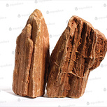 Stonewood, redbrown - Indian petrified wood Taille L | 15 - 20 cm