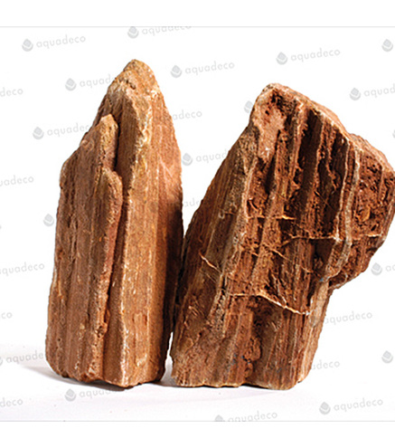 Stonewood redbrown - Indian petrified wood Taille XL | 20 - 25 cm
