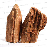 Stonewood redbrown - Indian petrified wood Taille XL | 20 - 25 cm