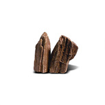 Stonewood, redbrown - Indian petrified wood Taille L | 15 - 20 cm