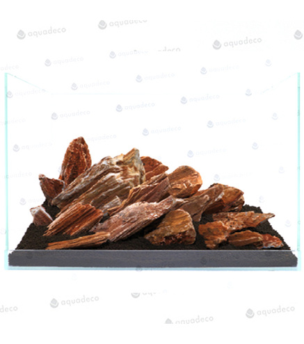 Stonewood, redbrown - Indian petrified wood Taille L | 15 - 20 cm