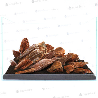 Stonewood, redbrown - Indian petrified wood Taille L | 15 - 20 cm