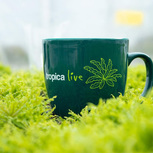 Tropica Live Mug Microsorum Windeløv-Tasse