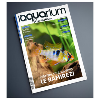 Aquarium À La Maison N° 152 - Juillet/Août 2022