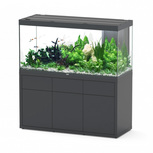 Aquarium+Meuble | AQUATLANTIS-SUBLIME PRO 150X60 Anthracite 545 L