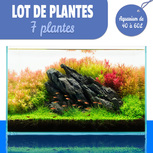 Lot de 7 plantes pour aquarium de 40 à 60L 