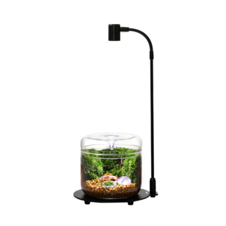 Lampe wabi-kusa DX-03 | BIOLOARK