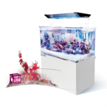 AQUA MEDIC Armatus XS - Micro Aquarium 4l-tout en un