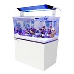 AQUA MEDIC Armatus XS - Micro Aquarium 4l-tout en un