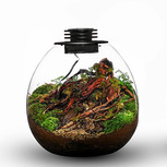 Bio Bottle PD210 BIOLOARK Terrarium | Wabi-Kusa | Mossarium +led