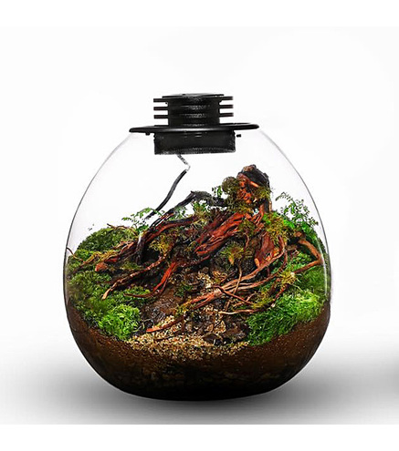 Bio Bottle PD210 BIOLOARK Terrarium | Wabi-Kusa | Mossarium +led