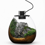 Bio Bottle PD170 BIOLOARK Terrarium | Wabi-Kusa | Mossarium +led