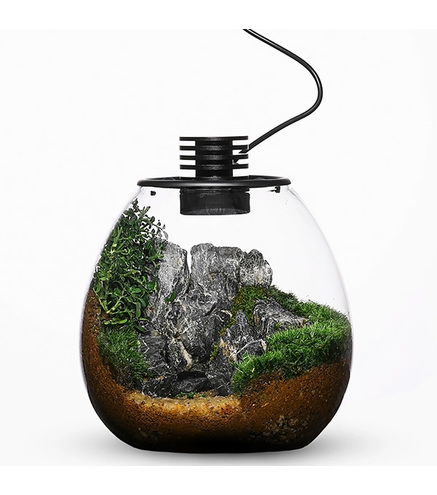 Bio Bottle PD170 BIOLOARK Terrarium | Wabi-Kusa | Mossarium +led