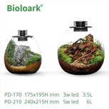 Bio Bottle PD170 BIOLOARK Terrarium | Wabi-Kusa | Mossarium +led