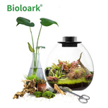 Bio Bottle PD210 BIOLOARK Terrarium | Wabi-Kusa | Mossarium +led