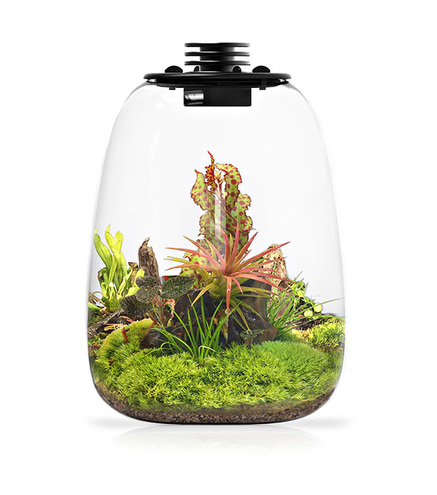 Bio Bottle QD172 BIOLOARK Terrarium | Wabi-Kusa | Mossarium +led