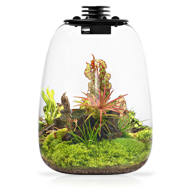 Baiosphère - Lampe Terrarium ou Wabi Kusa La nouvelle idée design