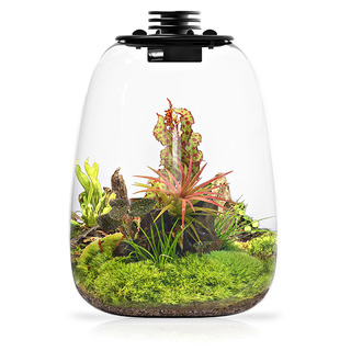 Bio Bottle QD172 BIOLOARK Terrarium | Wabi-Kusa | Mossarium +led