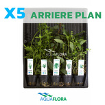 Lot de 5 plantes en pot pour l'arrière plan