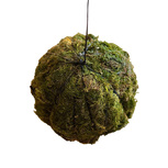 Balle de substrat avec mousse pour Wabi Kusa/Terrarium