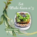 Set DIY Wabi Kusa n°3 -Joyau- série limitée