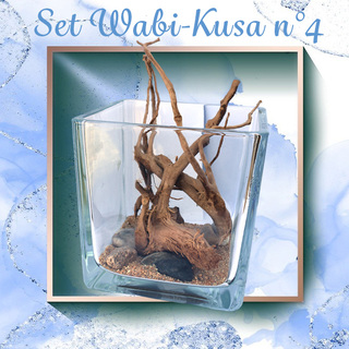 Set DIY Wabi Kusa n°4  -Virgin River - série limitée